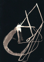 http://www.actionaqua.com/files/gimgs/th-119_amsterdam 95invert.jpg